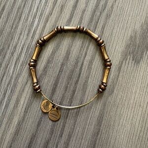 Alex and Ani Beaded Bracelet